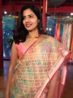 Multicolored Organza Saree - Image 3