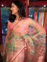 Multicolored Organza Saree - Image 2
