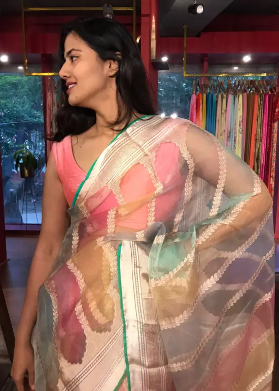 Multicolored Organza Silk Saree