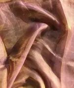 Nude Pink Tissue Silk Saree highlighted with Hand painted Florals and hand embroidery - Image 2