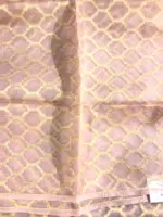 Nude Pink Printed Tissue Silk Saree - Image 8