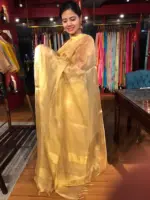 Gold Tissue Silk Saree with Self designed Border - Image 3