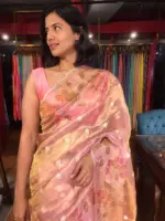 Nude Pink Hand Painted Embroidered Tissue Silk Saree highlighted with Scalloped Border - Image 4