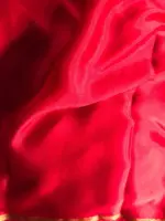 Red Chiffon Silk Saree with Gold Zari Piping - Image 3