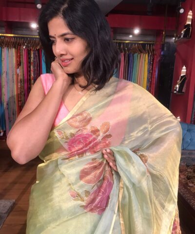 Sea Green Tissue Silk Saree with Hand painted Florals and Hand Embroidery