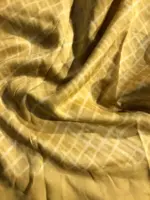 Ice blue Printed Organza Silk Saree with Kanchi Zari Border - Image 7