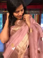 Nude Pink Organza Silk Saree with Kadwa Gold and Silver Zari Motifs - Image 7