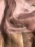 Nude Pink Organza Silk Saree with Kadwa Gold and Silver Zari Motifs - Image 9