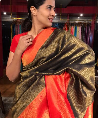 Black Banarasi Silk Saree with Gold Zari Weaves