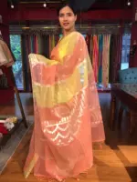 Multicolored Organza Silk Saree - Image 4