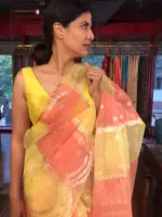 Multicolored Organza Silk Saree