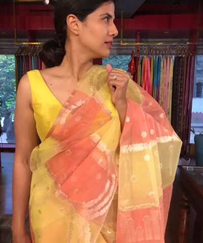 Multicolored Organza Silk Saree