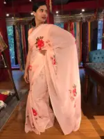 Peach Handpainted Organza Saree - Image 5