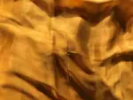 Mustard Yellow Chiffon Silk Saree with Gold Zari Piping - Image 6