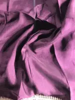 Purple Organza Silk Saree with beautiful hand embroidered border adorned with Badla work - Image 6