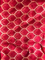 Red Chiniya Silk Saree with Golden Zari Stripes - Image 7