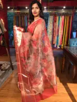 Scarlet Red Organza Silk Saree with Kanchi Zari Border - Image 2