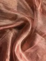 Red Tussar tissue silk saree with Beautiful Zari border - Image 7
