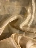 Ivory Handpainted Tissue Silk Saree with Scalloped Edging - Image 7