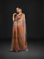 Multicolor Printed Tissue Silk Saree - Image 2