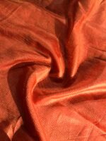 Red Tissue Silk Saree with woven Gold Zari Border - Image 7