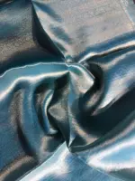 Sky Blue Dual Tone Tissue Silk Saree highlighted with Zari Motifs and Gota Border - Image 9