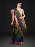 Ombre Green Handwoven Tissue Silk Saree - Image 3