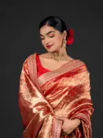 Scarlet Red Handwoven Tissue Silk Saree with Embroidered Border Detailing