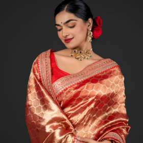 Scarlet Red Handwoven Tissue Silk Saree with Embroidered Border Detailing