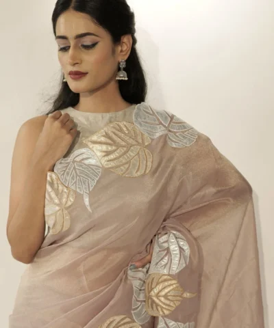 Beige Tissue Silk Saree with Beautiful Cutwork