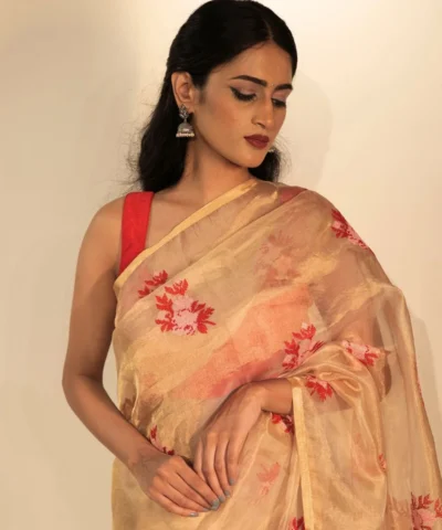 Gold Tissue Silk Saree highlighted with Beautiful cross stitch embroidery
