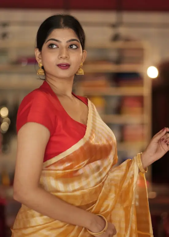Navyblue Chiffon Saree with Gold Zari Stripes