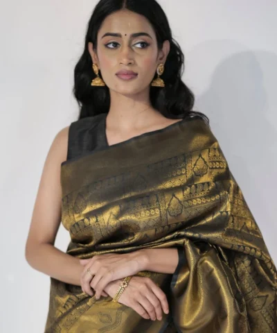 Black Banarasi Silk Saree with Gold Zari Weaves