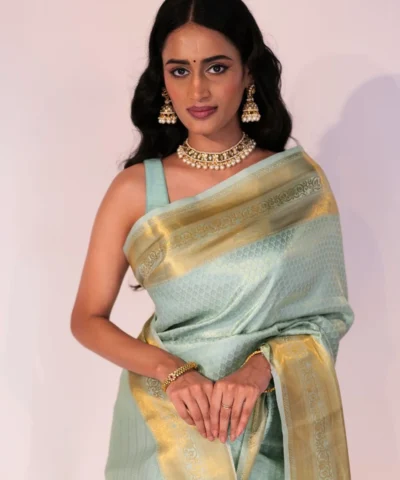 Pastel Blue Banarasi Soft Silk Saree with Gold Zari Border