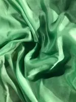 Sea Green Chiffon Silk Saree - Image 6