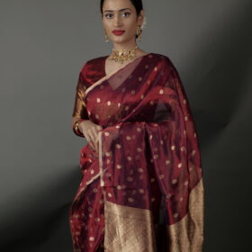 tissue silk saree by Mirra Clothing
