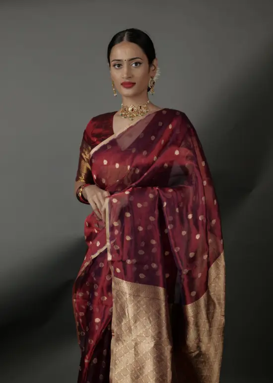 tissue silk saree by Mirra Clothing