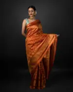 Gold Zari weaves tissue saree by Mirra Clothing