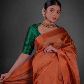 Close up view of a model showcasing Copper Tissue Silk Saree with Self Design Border, Suitable for occasions By Mirra Clothing