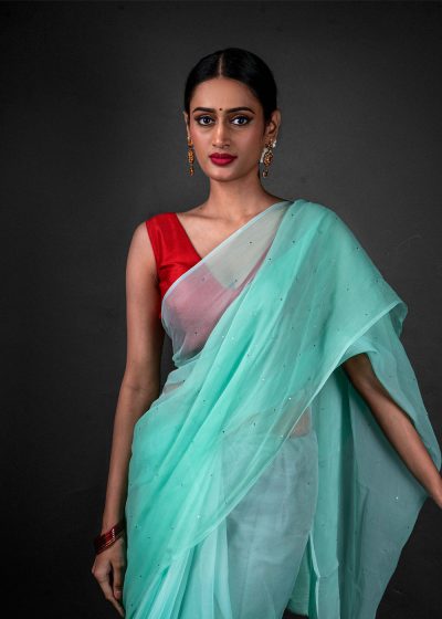 Close up view of a model showcasing Mint Blue Chiffon Saree With Badla Work, Perfect for everyday wear by Mirra Clothing