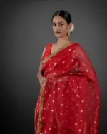 Beautiful Saree by Mirra Clothing