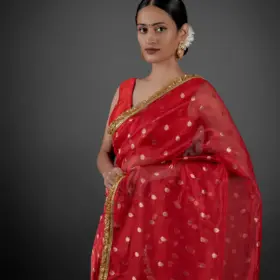 Beautiful Saree by Mirra Clothing