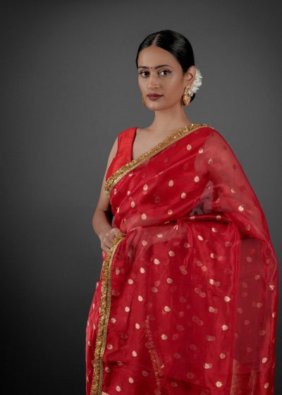 Beautiful Saree by Mirra Clothing