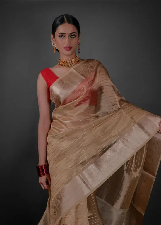 Close up view of a model showcasing Ivory Tissue Silk Saree with Gold Zari Stripes, Perfect for family reunions or celebrations by Mirra Clothing