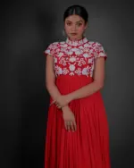 Red Embroidered Georgette Dress