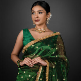 Beautiful Tissue Saree by Mirra Clothing