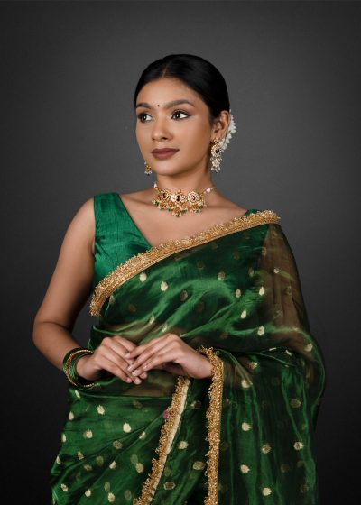 Beautiful Tissue Saree by Mirra Clothing