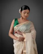 Beautiful Saree by Mirra Clothing