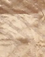 Ivory Gold Tissue Silk Saree woven in Leheriya Pattern - Image 5