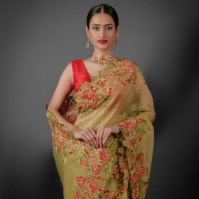 tissue silk saree by Mirra Clothing